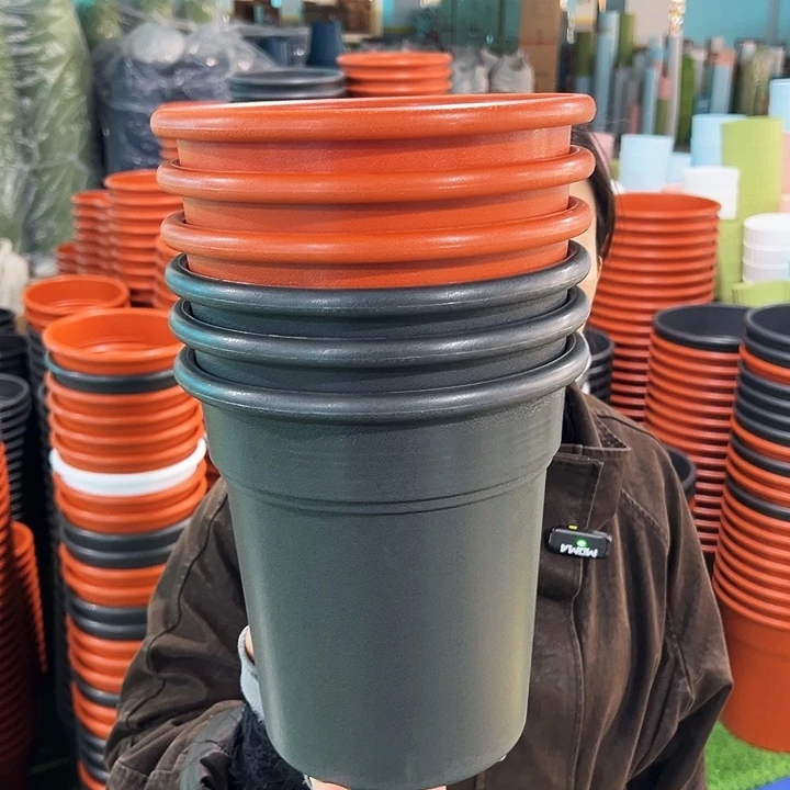 特价翻边口21高22陶红无托6只