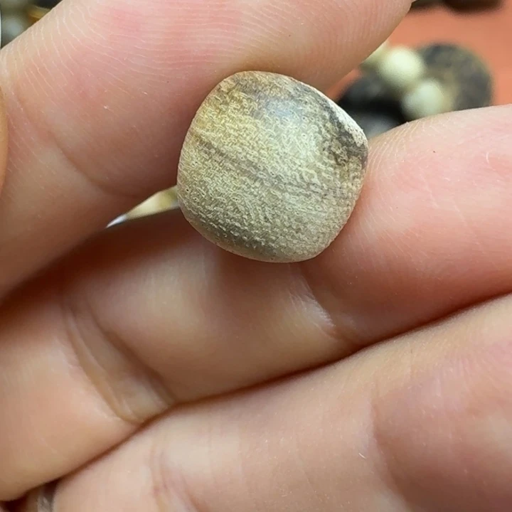 大叶紫檀（黑酸枝木类）