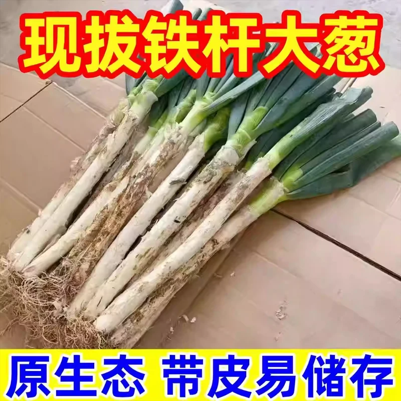 H【买五斤送五斤】正宗2025新鲜现拔铁杆大葱头茬精品农家现挖现发
