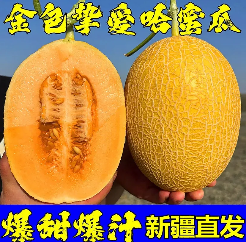 新疆直供金色年华哈密瓜黄金蜜瓜网纹脆甜多汁新鲜水果