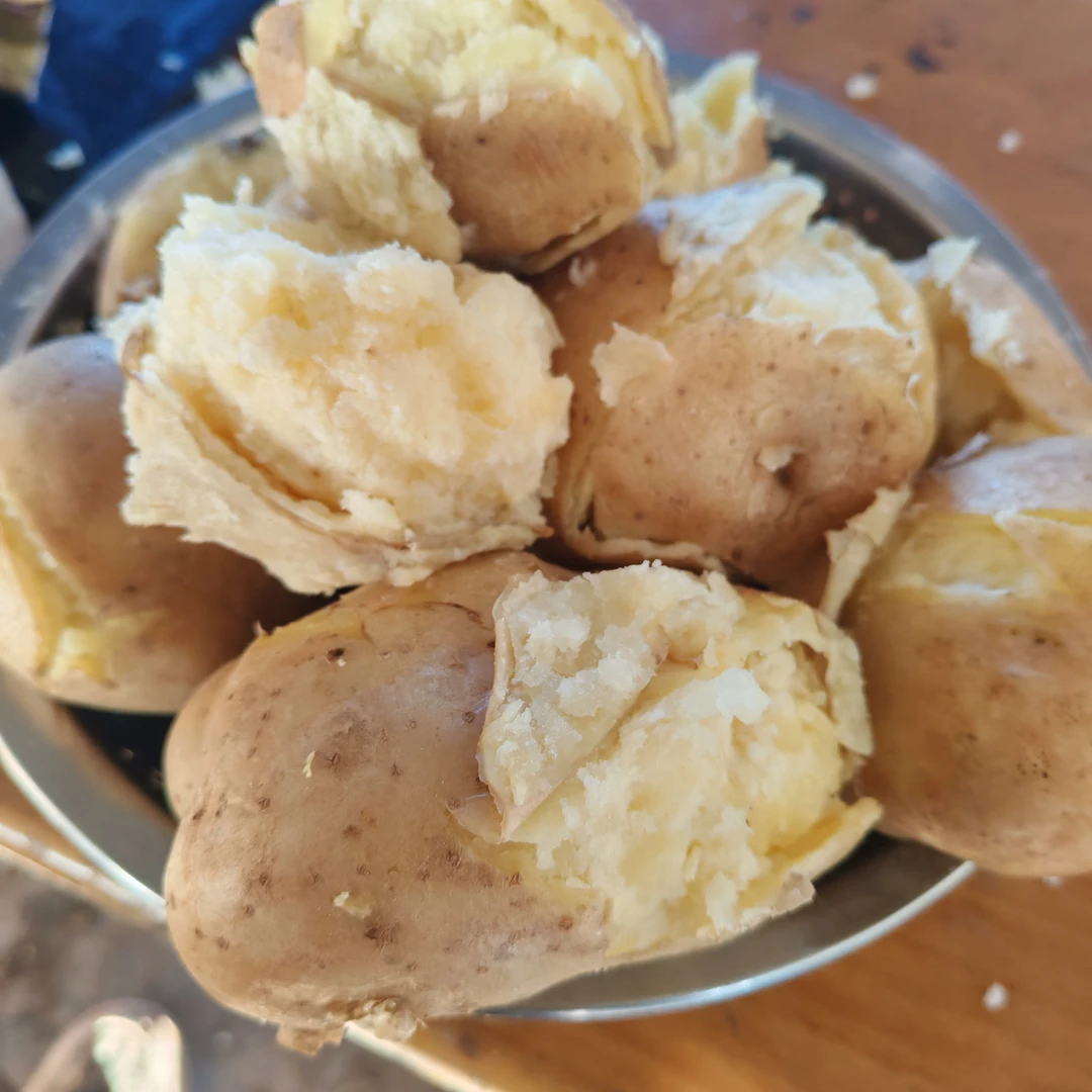 大凉山盐源黄心土豆