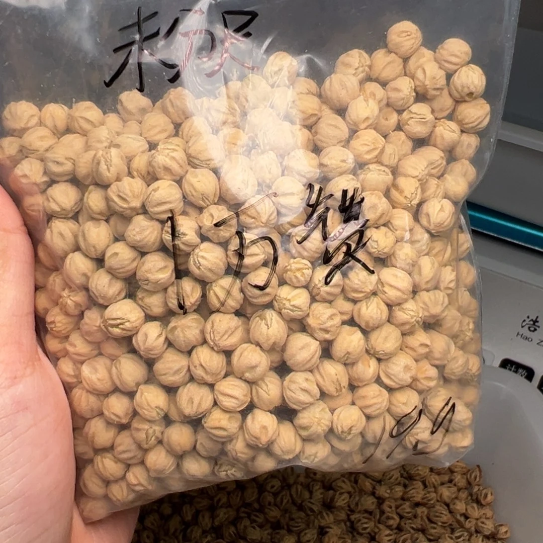 老***鸡柏香籽/百香籽吊坠