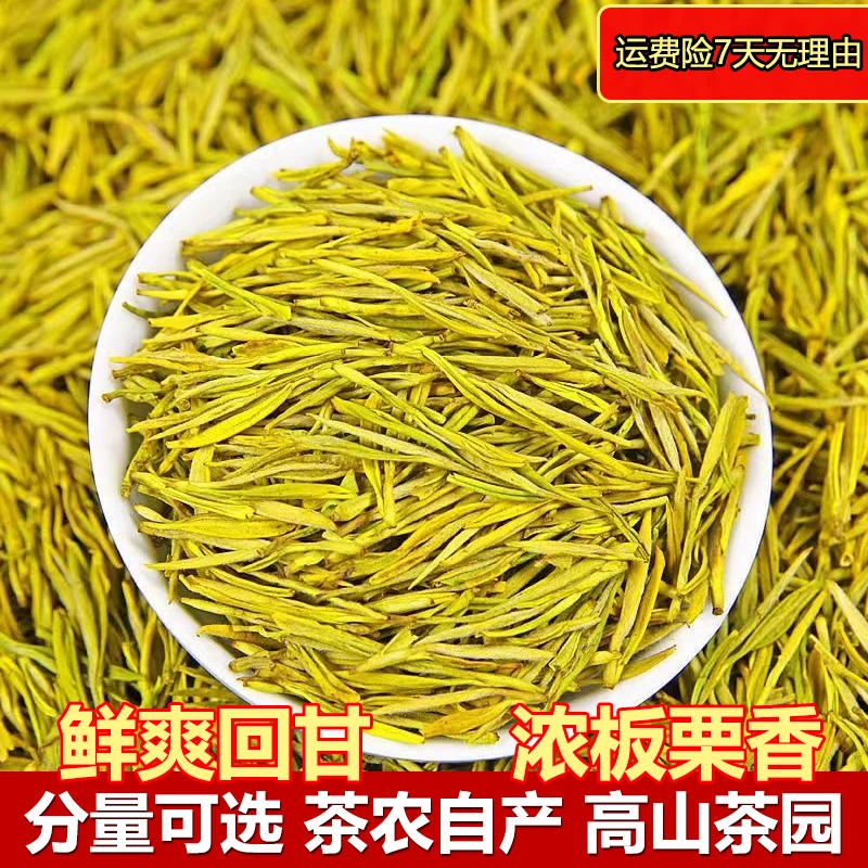 【走量款】雨前黄金芽茶叶浙江产区2025新茶浓豆香口粮绿茶浓香耐泡