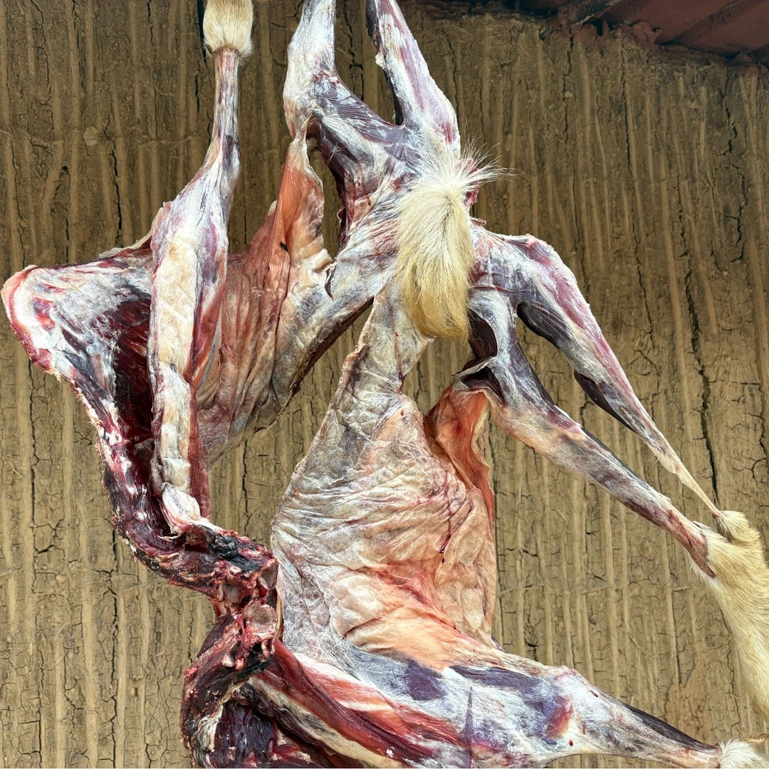 大别山叶集风干羊肉按照新鲜羊肉价格风干后重量减半请勿私自下单