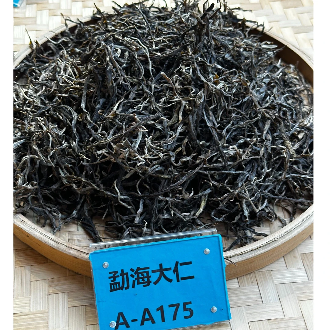 DR9-1【A-A175】“普洱茶”2025年新班章古树头春头采生散茶