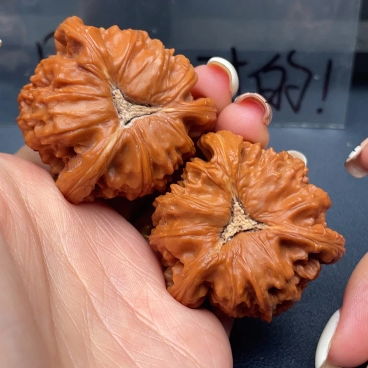 大***生吊坠文玩核桃白狮子