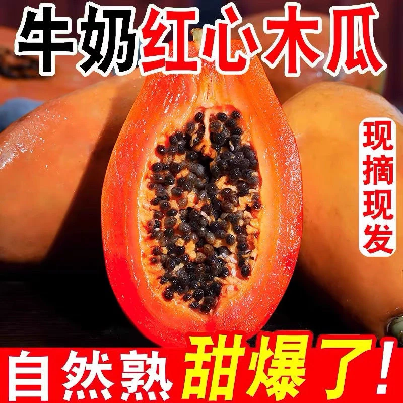 正宗云南红心冰糖牛奶木瓜新鲜水果当季孕妇下奶青皮木瓜整箱批发