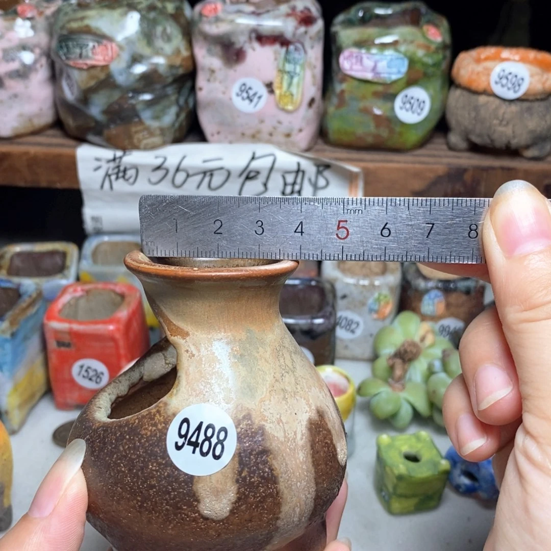 拍5送一个小礼物