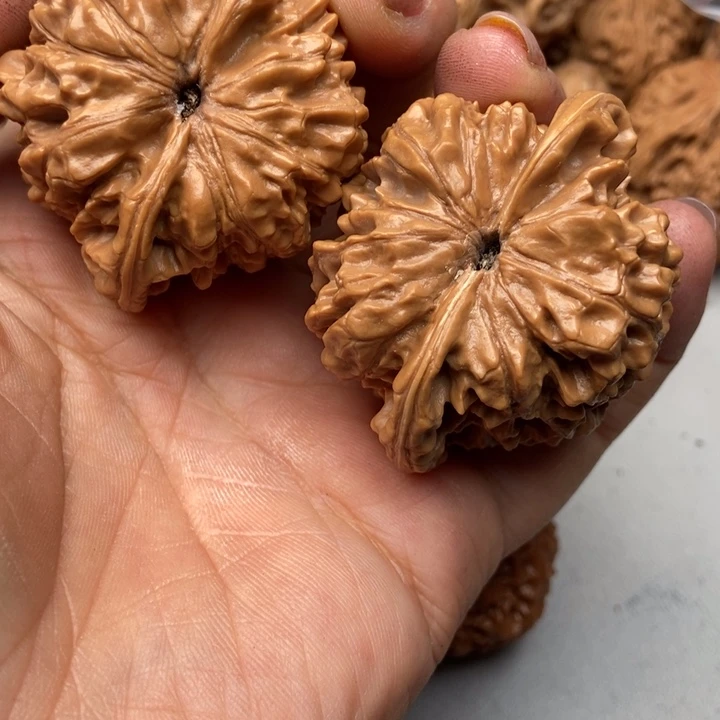 文玩核桃把件H****h官帽