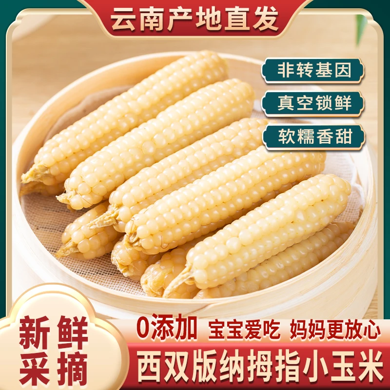 一箱50根云南版纳拇指玉米香糯小玉米香甜软糯脱皮香甜玉米批发