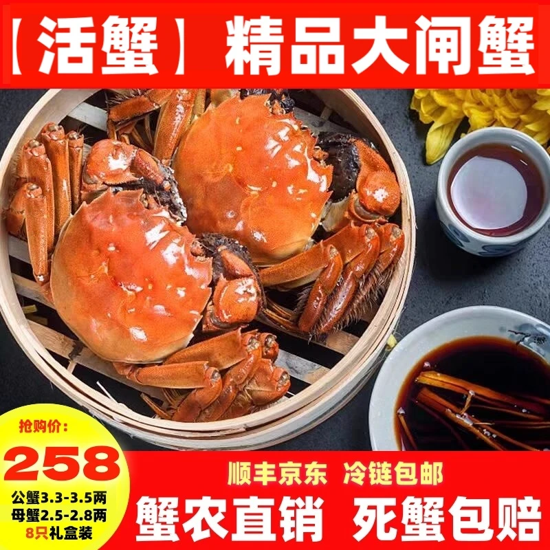【活蟹】湖北梁子岛公3.3-3.5母2.5-2.8两8只中秋礼盒顺丰冷链包邮