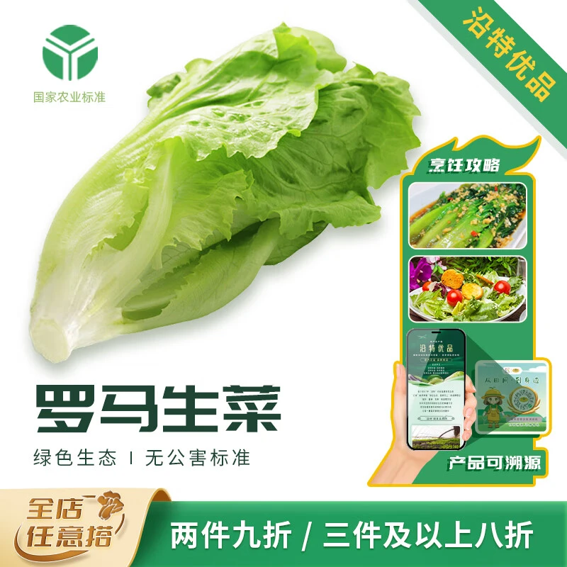沿特罗马生菜500g北京顺义农家自种新鲜蔬菜现采现发