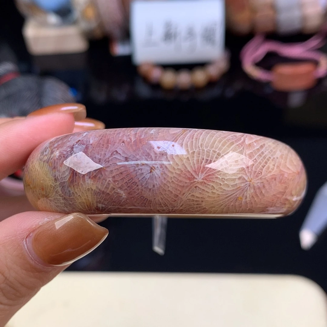 【闪购商品】颈饰未镶嵌硅化珊瑚（珊瑚玉）上新手镯51.6（46号）