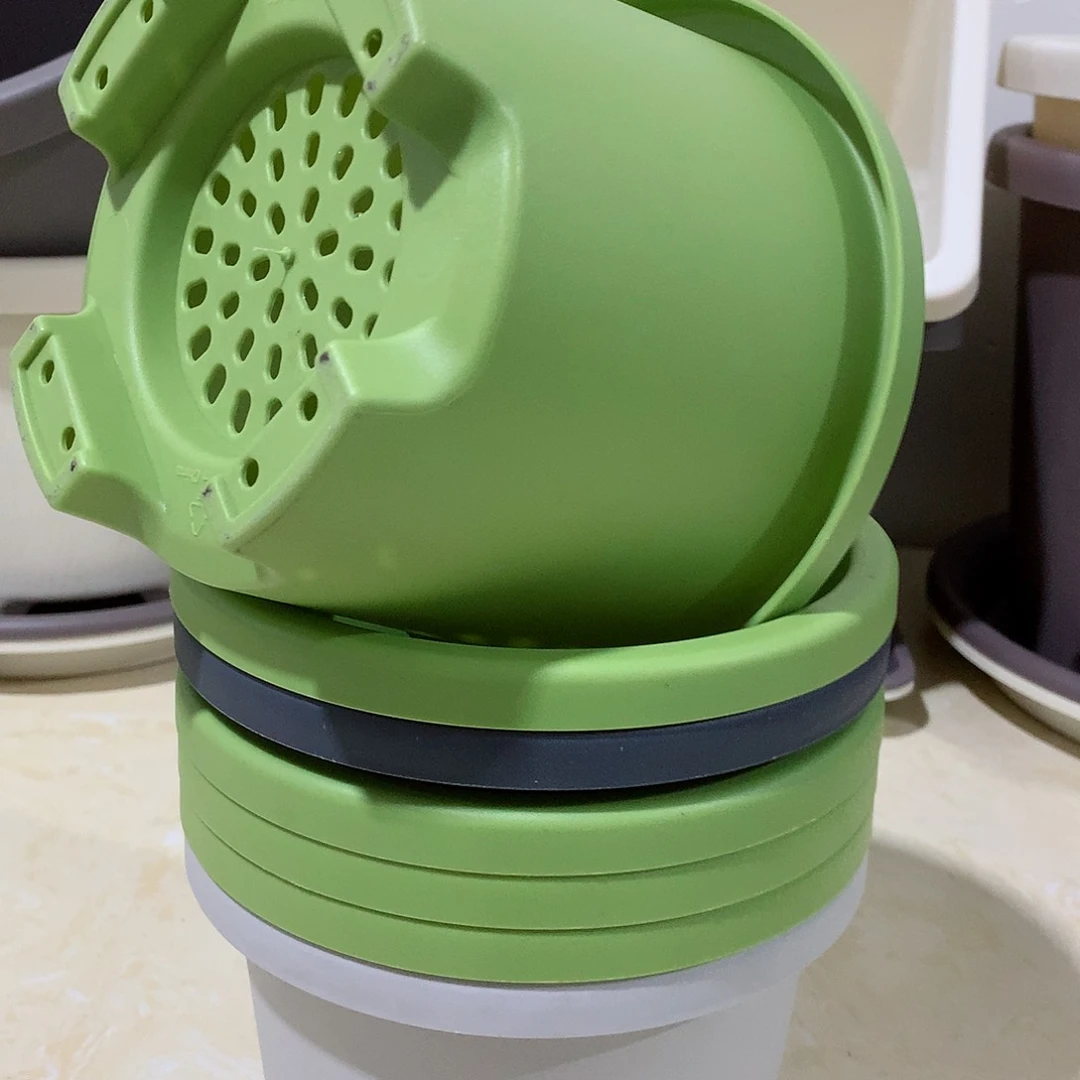 球根口17果绿5个无托