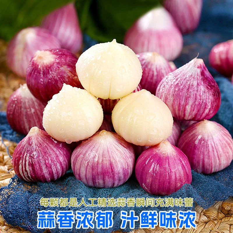 【超低价】现挖正宗紫皮独头蒜新鲜湿蒜红皮独头0.5/1/2/3/5斤包邮