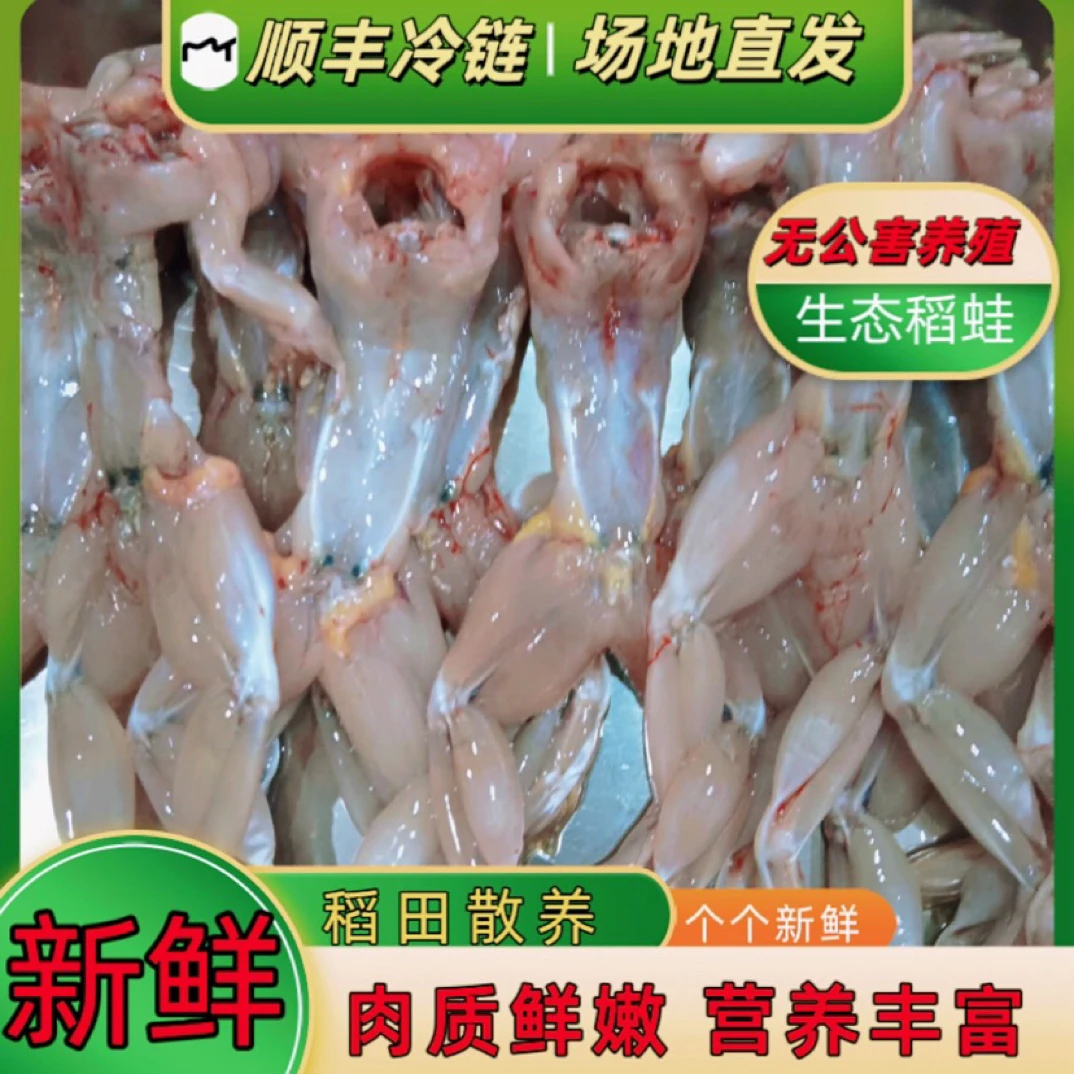 【现杀现发】新鲜蛙肉稻田养殖田鸡鲜活青蛙肉2斤包邮