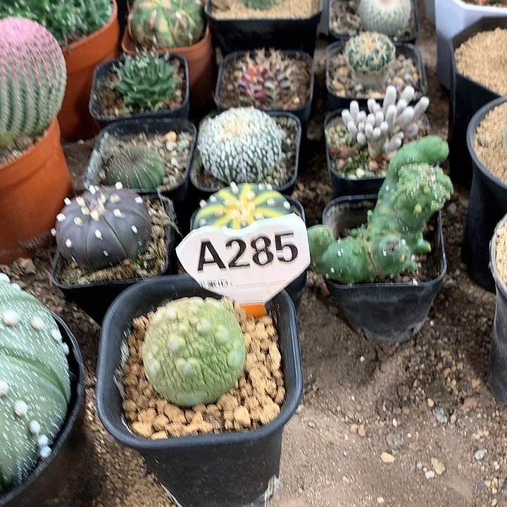 馥****43333333333333