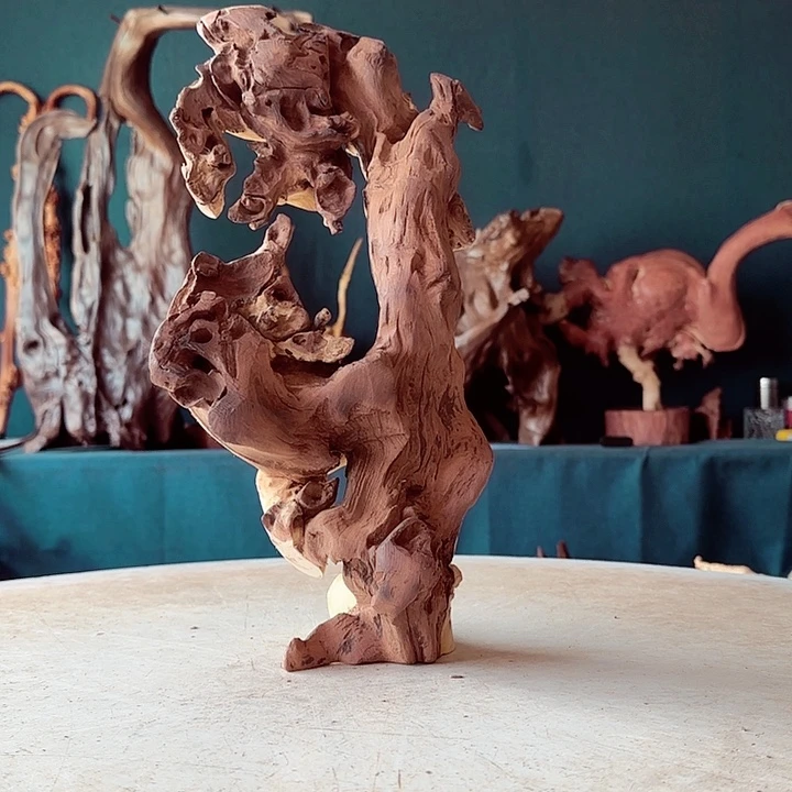 香榧木零**术233金丝红木羊蹄甲