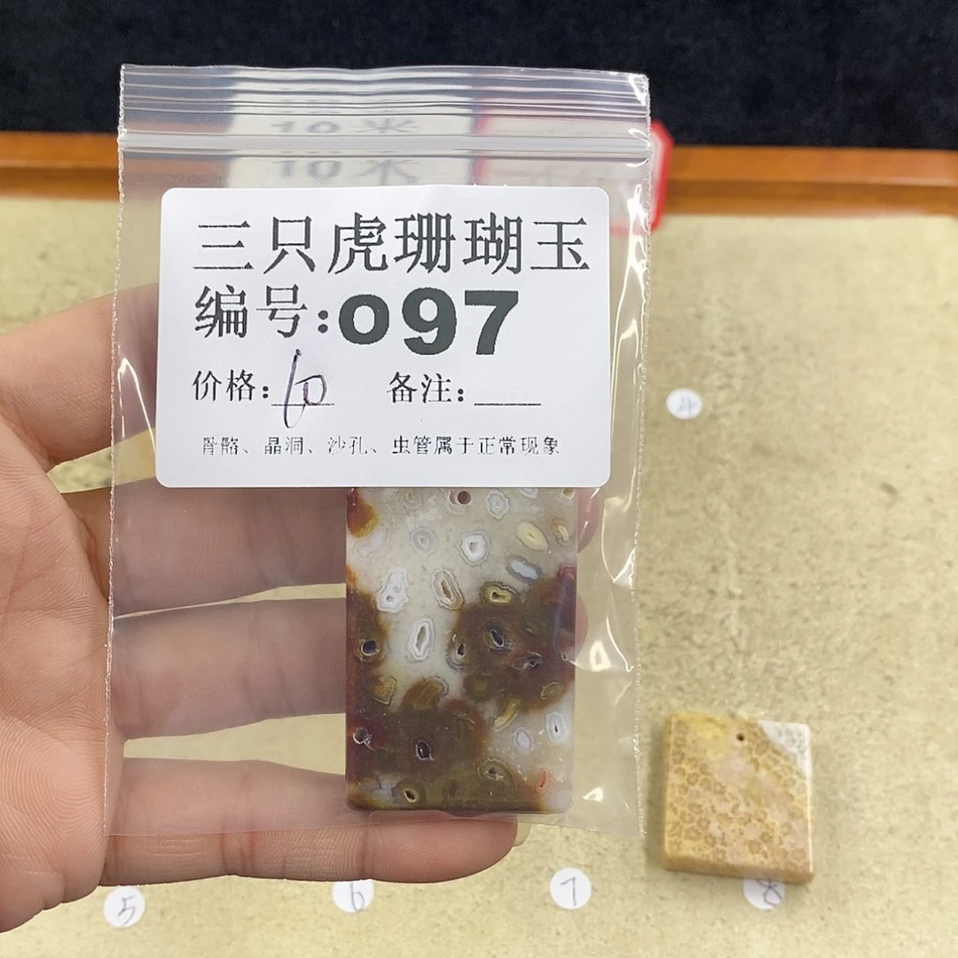 硅化珊瑚（珊瑚玉）1未镶嵌家****！