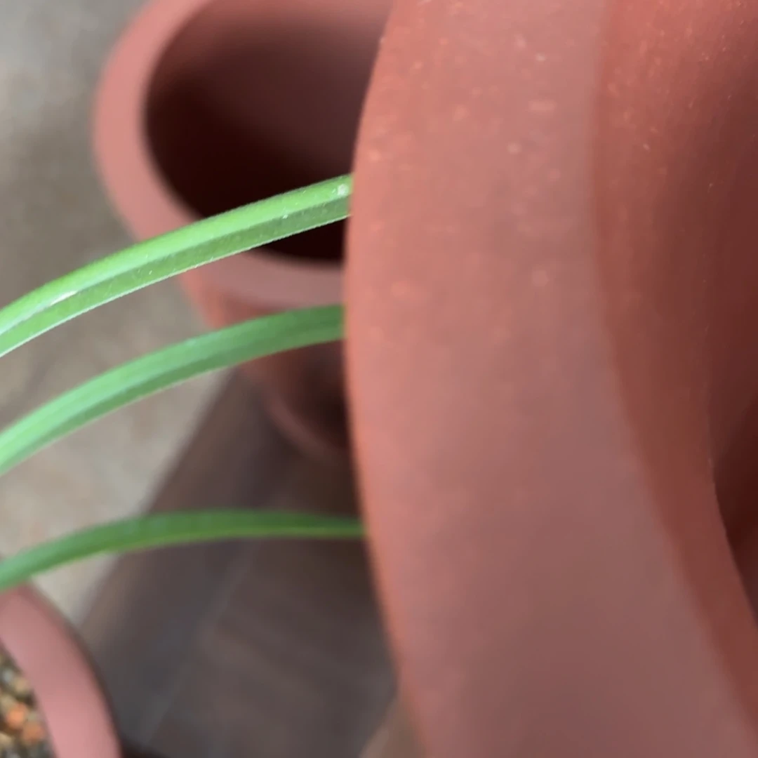 鲲正宗高温手工花盆