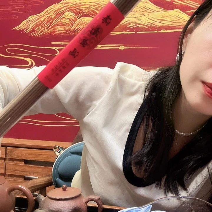 海南虫漏10克纯天然线香