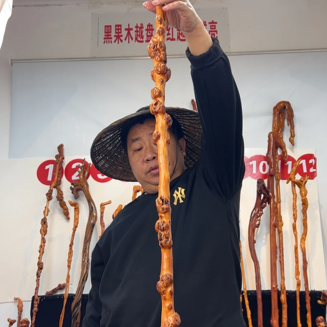 其他黑果木黑果木819