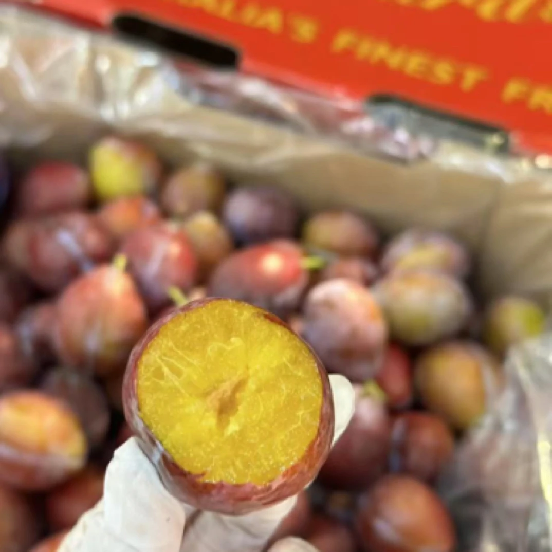 智利空运西梅4J