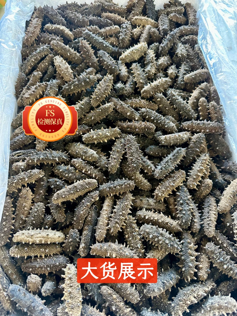 大连安源原产地六排刺纯淡干圈货16斤皮