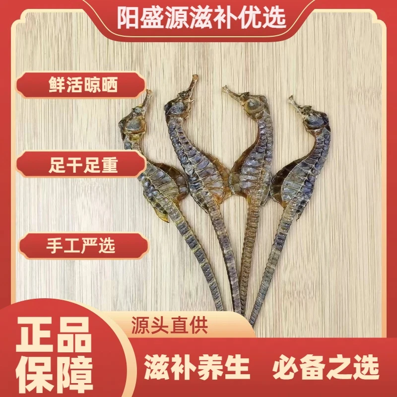 【正品溯源】精选海干马足干新鲜晾晒煲汤泡酒汤料滋补海燕子
