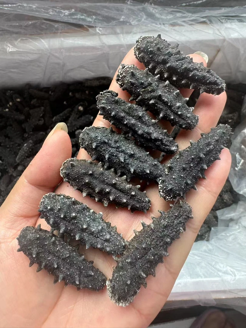 【长岛深海淡干海参】高品质高泡发15倍福利款【80-120】头