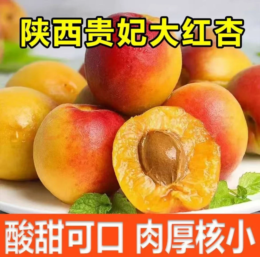 陕西头茬胭脂红杏贵妃红杏新鲜酸甜可口