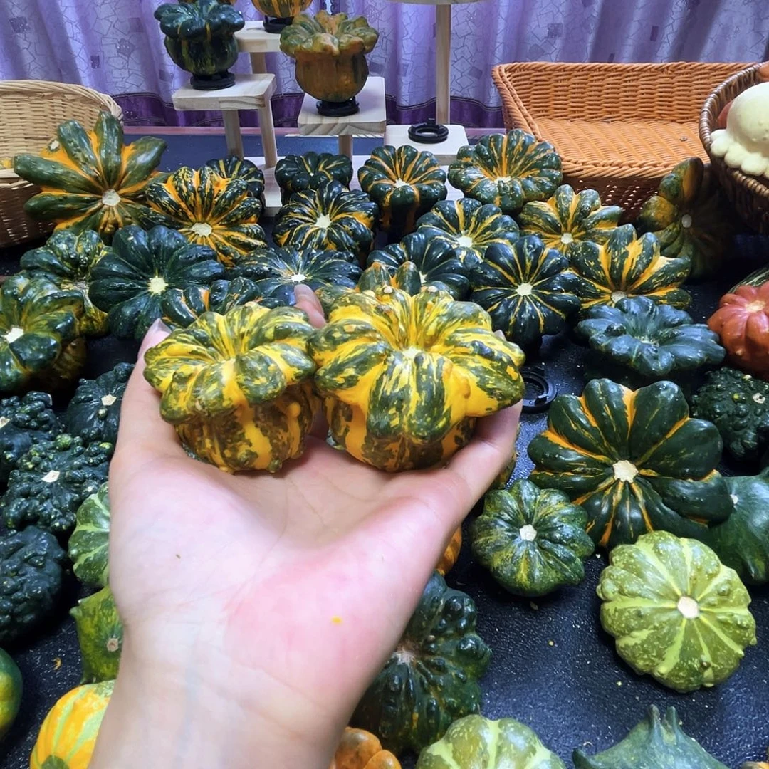 雨***风墨西哥哈哈哈哈哈哈哈哈哈哈哈