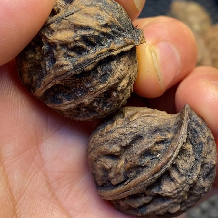 吊坠文玩核桃娜姐45