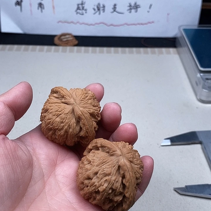 沾***威木质类5.5.5.5.5.5.5.5.5.