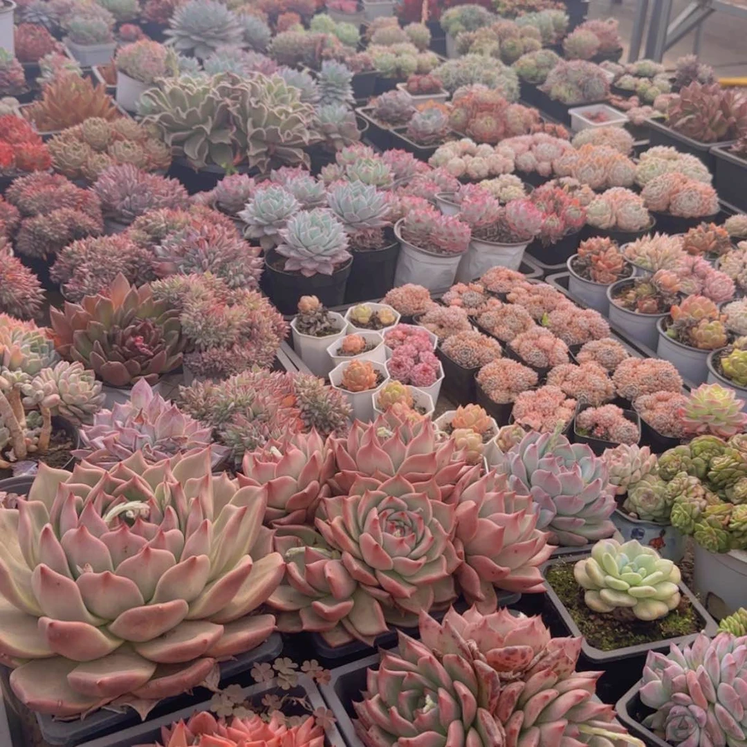 【闪购商品】2025新春福利品