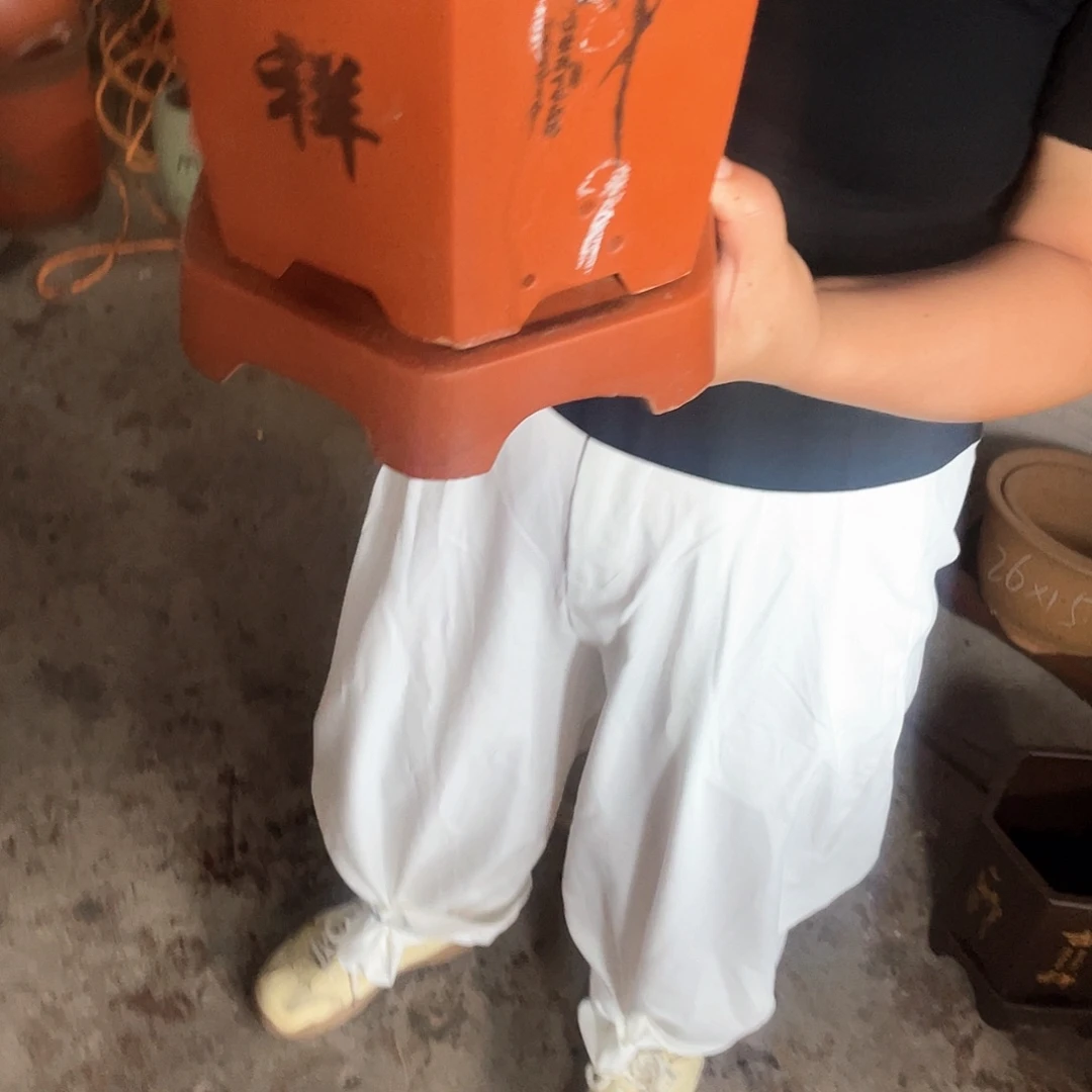红如意六方加托小花盆紫砂