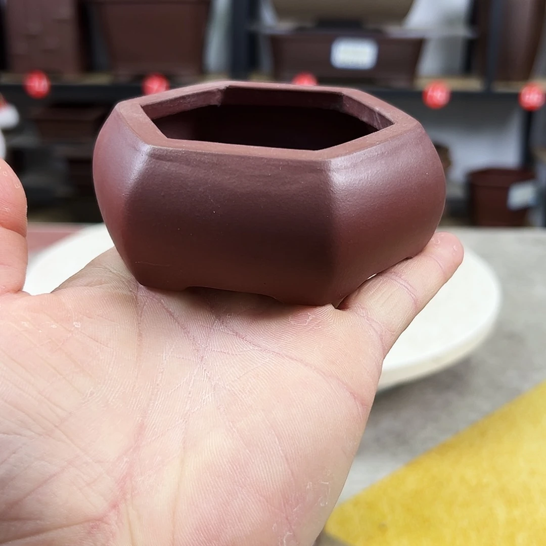 紫砂花盆牧**艺新年快乐6666666