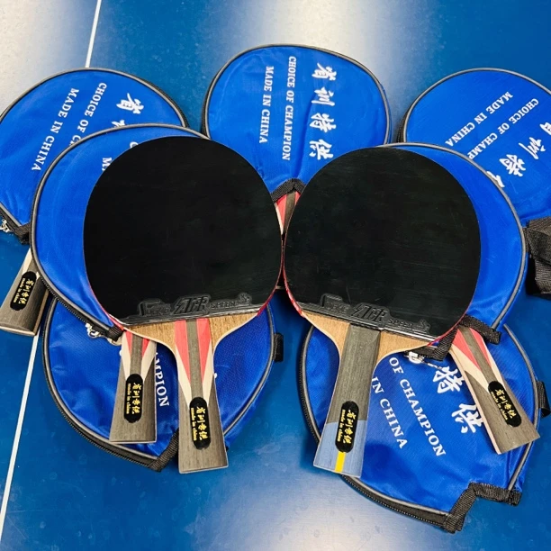 省训初学者乒乓球拍（不支持试打不支持退换）