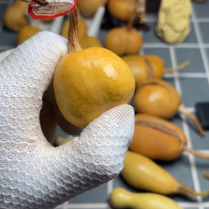 晴***鹤66666666666666666