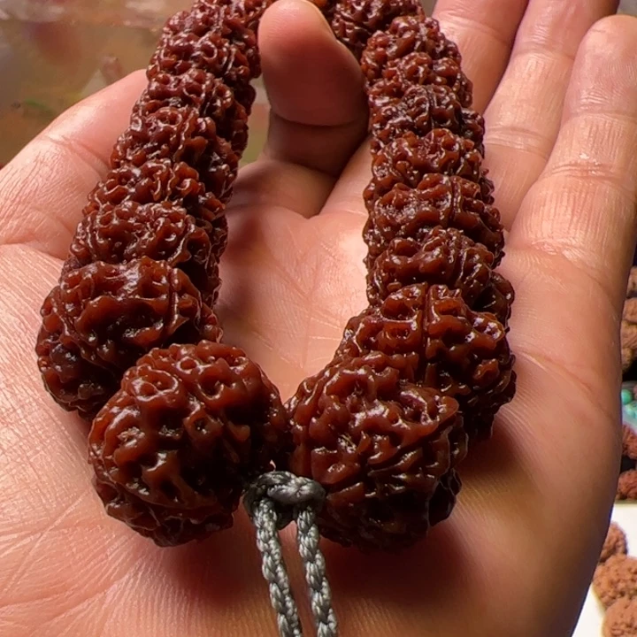 金刚菩提手串19蜂窝梅花双龙