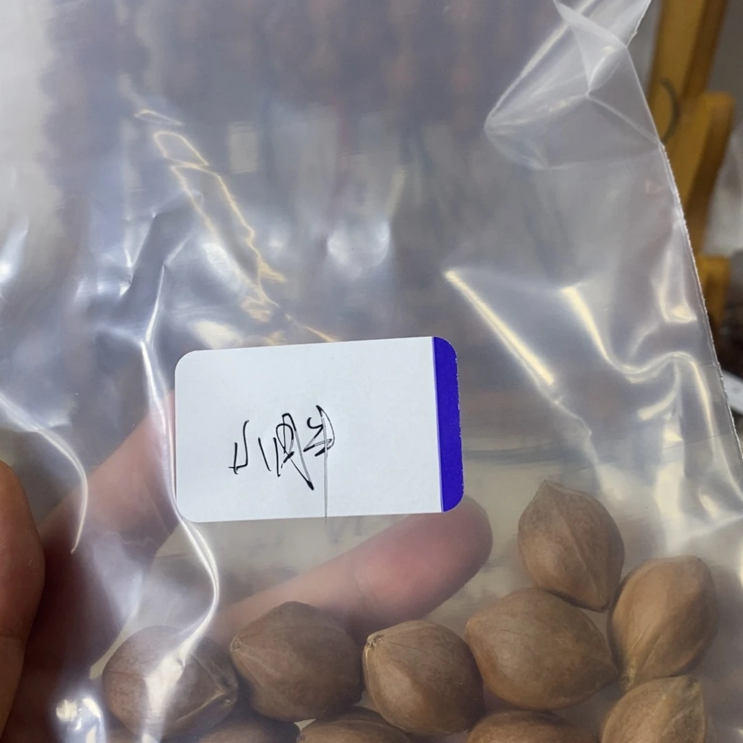 小***了橄榄核手串2027梅林铁核