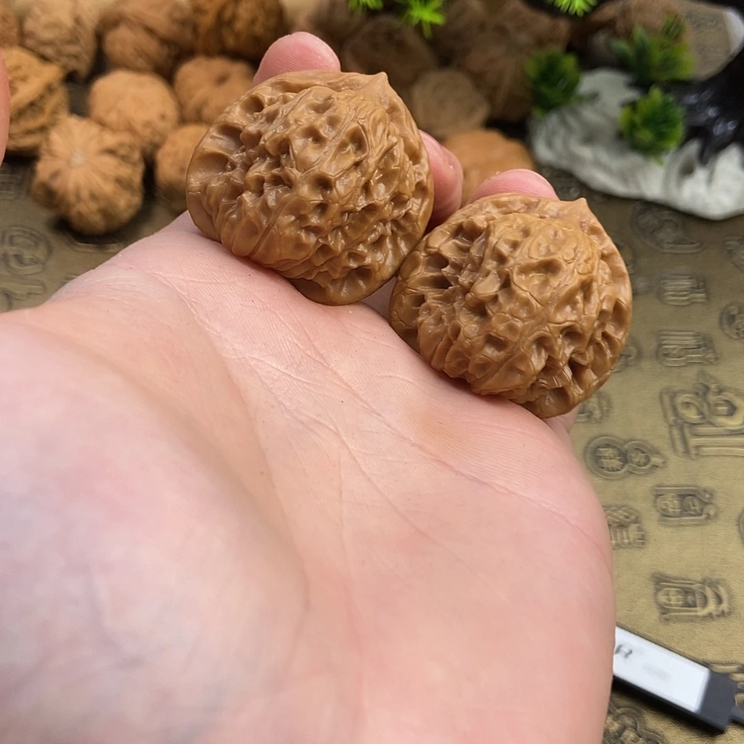 核桃白蛇谷36尺寸编号400全品无修油性大油蜡皮