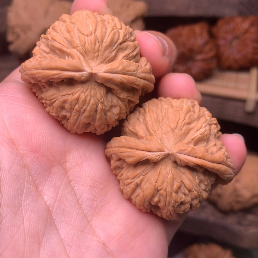 把件文玩核桃39白狮子全品