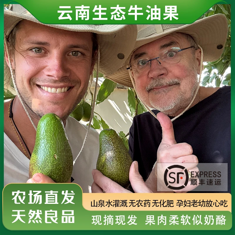 云南大理生态牛油果新鲜现摘发国产营养早餐干物质高即食辅食顺丰