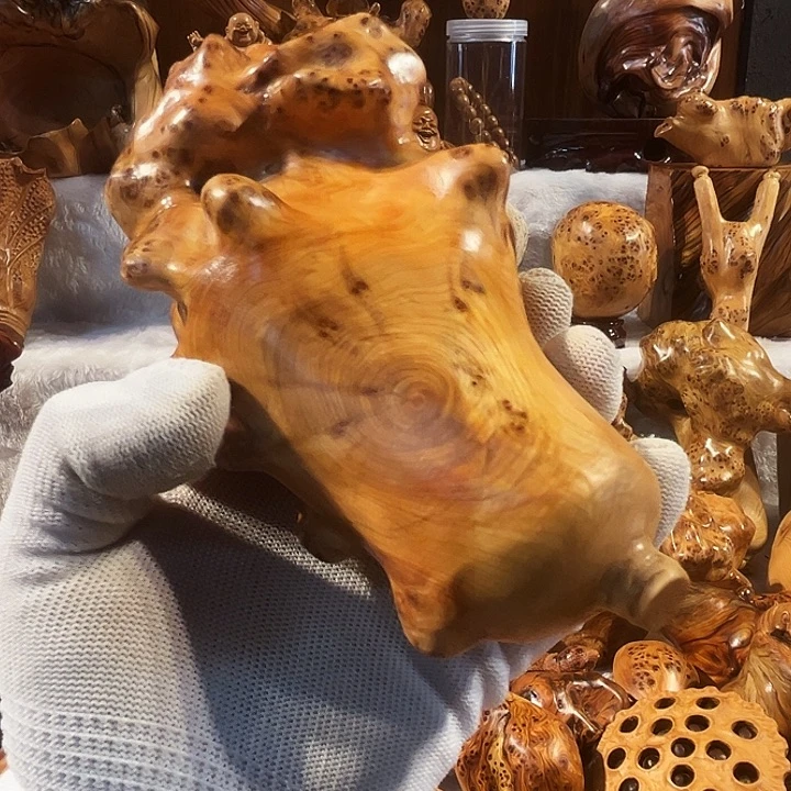 育***记柏木太行崖柏玉化瘤白菜