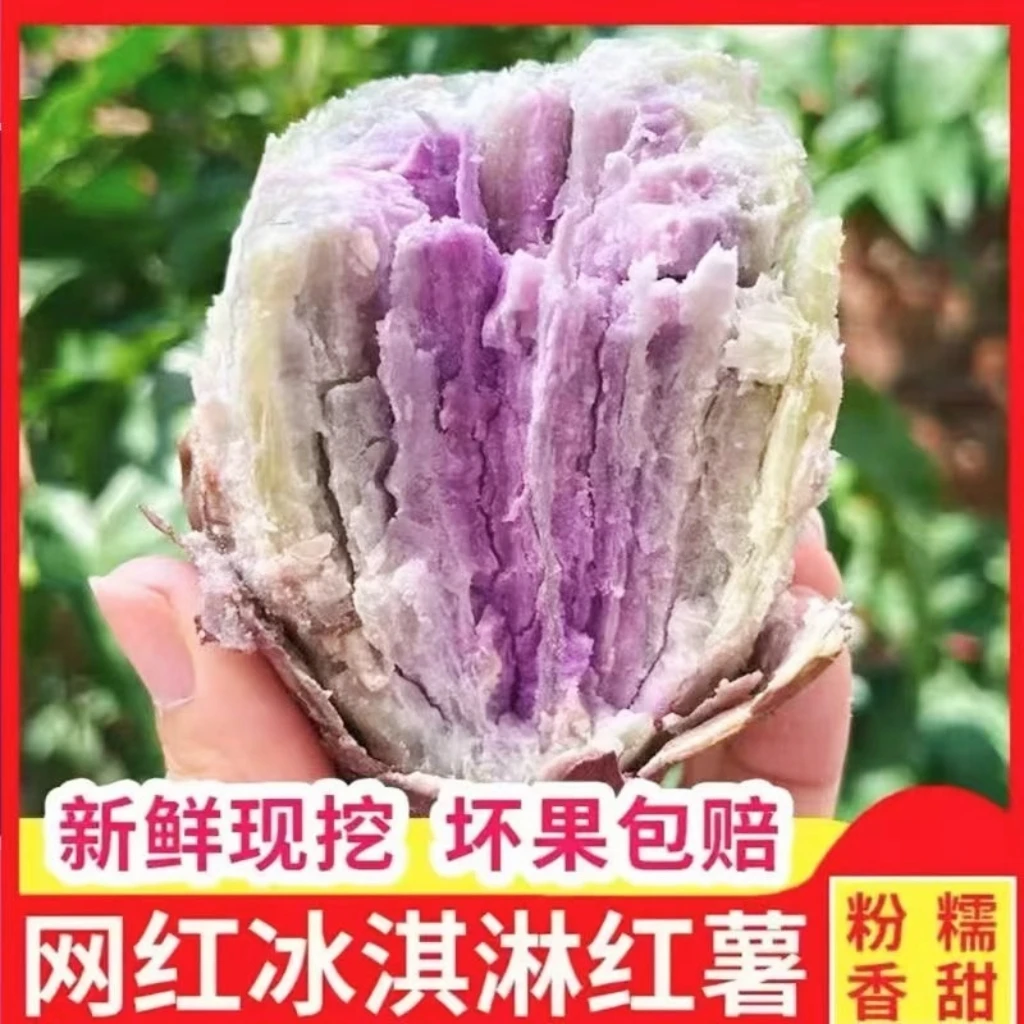 网红沙地一点红红薯新鲜现挖农家自种地瓜粉糯香甜冰淇淋番薯