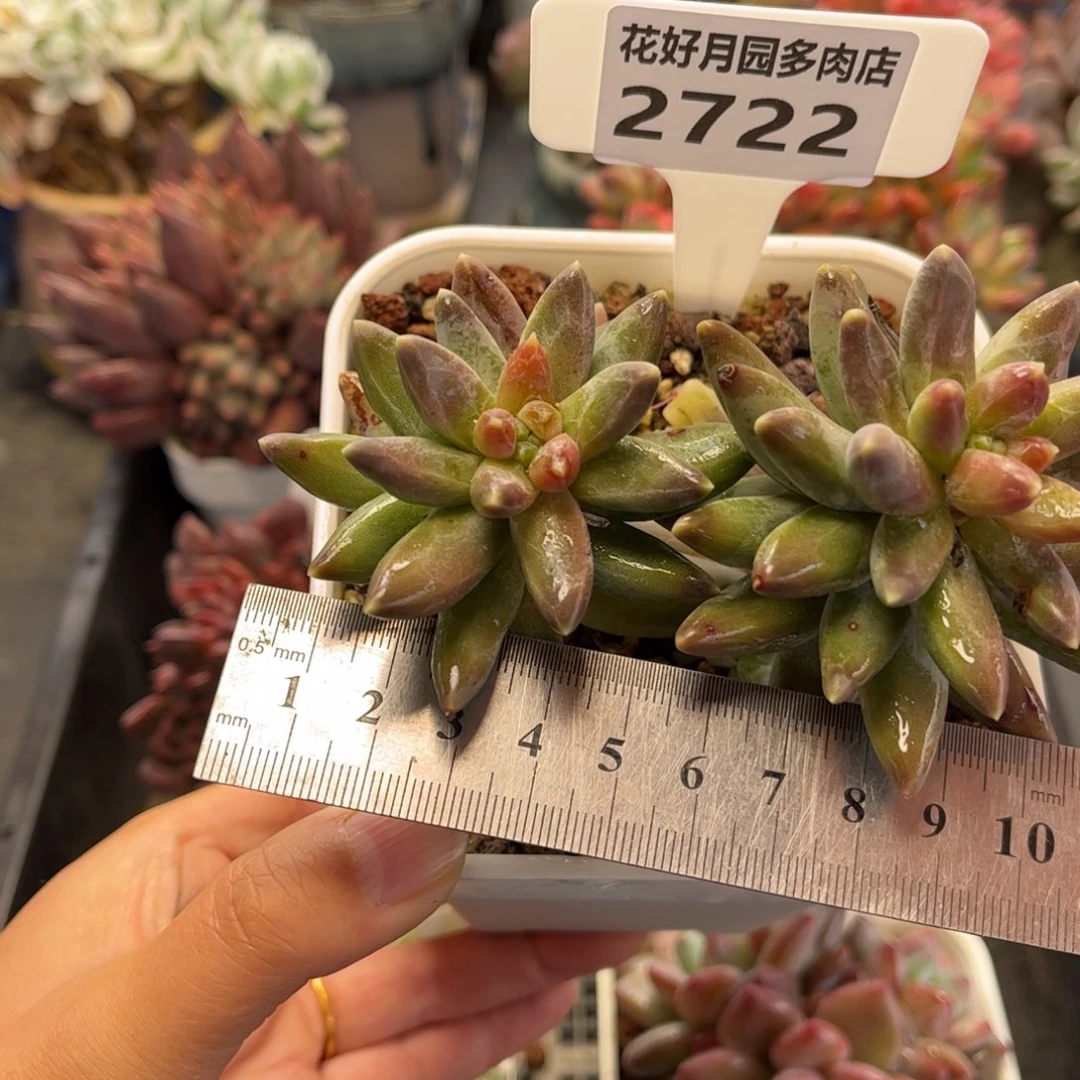 2722 满30包邮天冷地区必拍保温箱