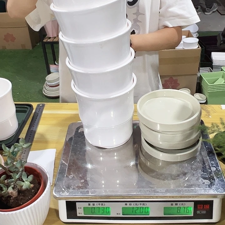 特价竹节口13.6高14白色带托5只