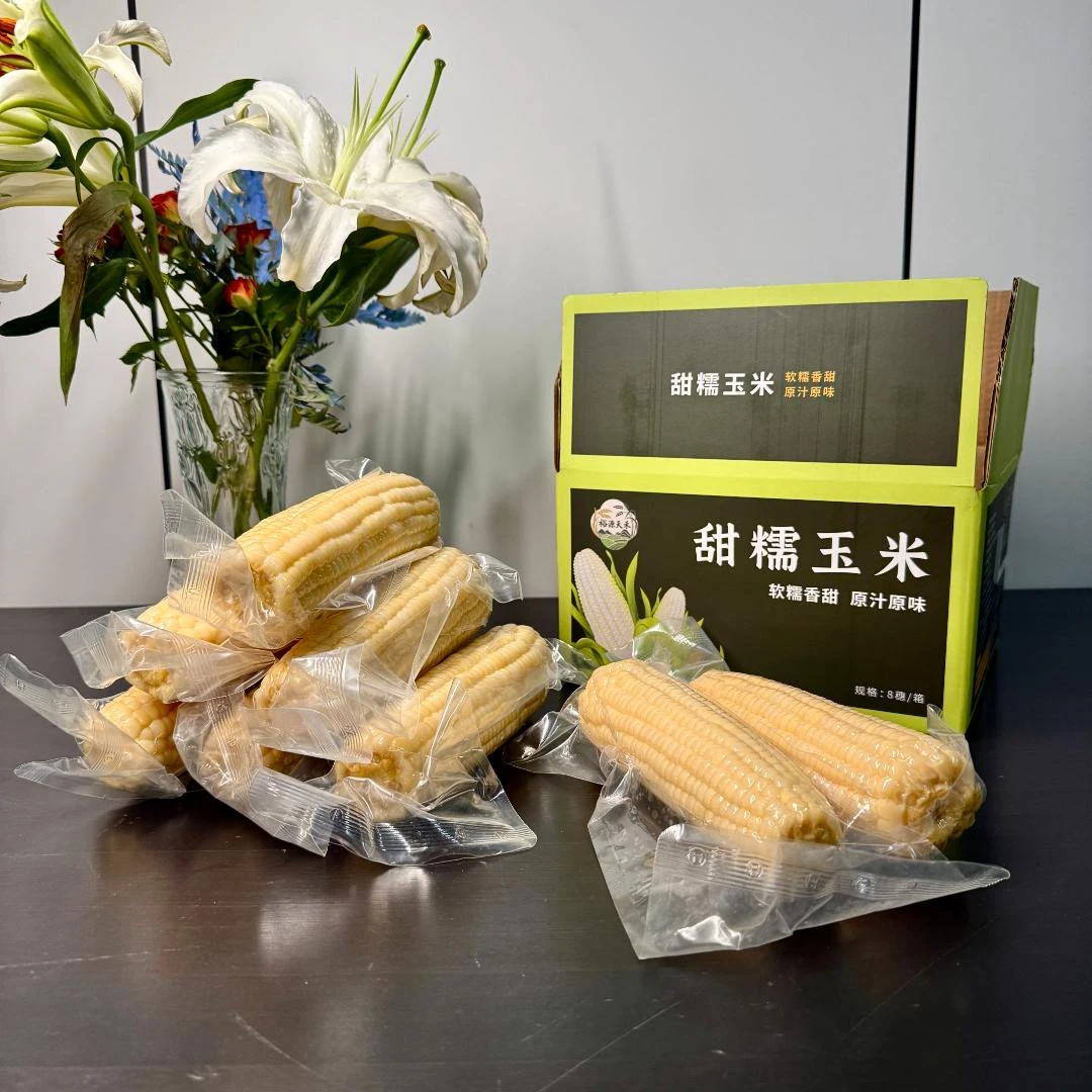 东北粘糯鲜食玉米2025年黑龙江五常白糯玉米每箱8根 裕源天禾