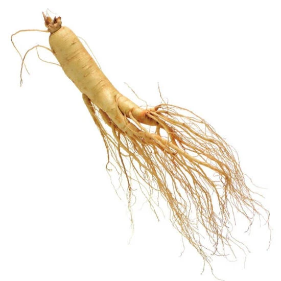 东源兴 鲜人参 原箱 310g